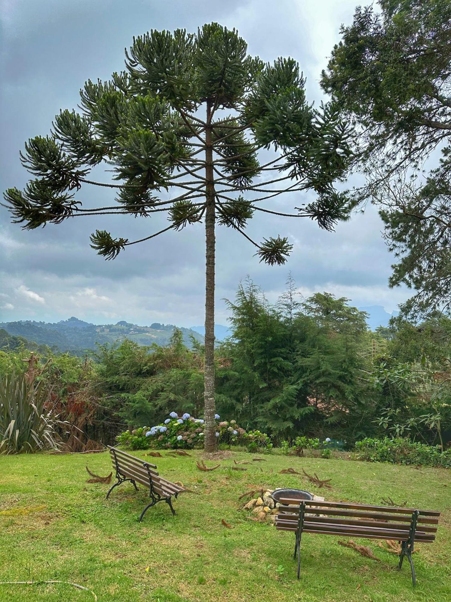 Chale Dos Passaros - Varanda Com Vista P/ Natureza